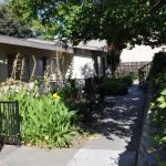 Sherwood Forest Arms Apartments exterior grounds showing walkway and lush plants