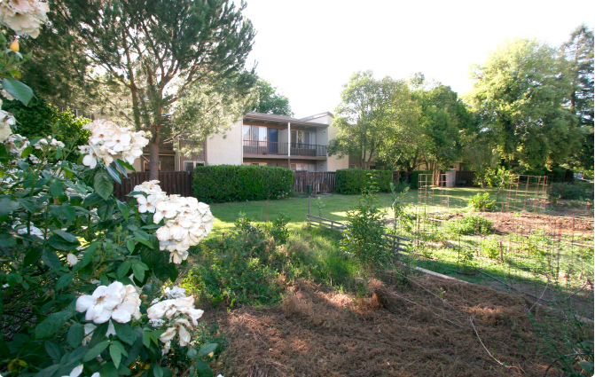 Alvarado Apartments outside area